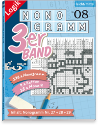 3er-Band Nonogramm 08