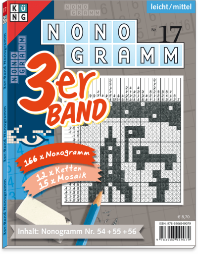 3er-Band Nonogramm 17